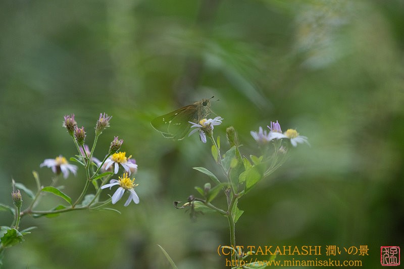 ../Images/7R240914 (2).jpg